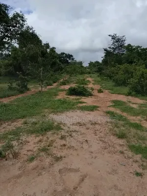 150-Acre of Land