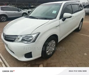 Toyota Corolla Fielder 2014 White