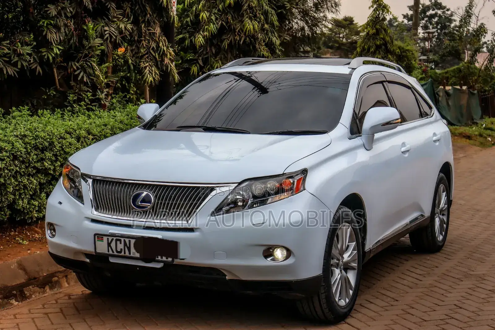 Lexus RX 2010 White