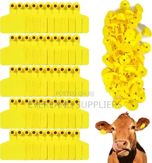 Cattle Medium Ear Tags for Animal Sorting