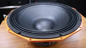 Derwel PD2190 21-Inch Bass Speaker