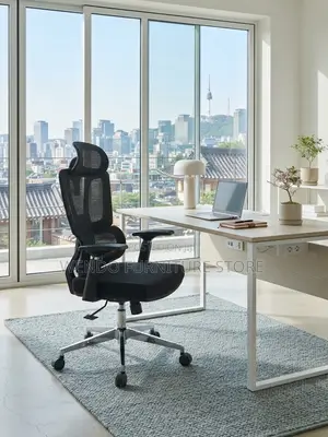 Office Chairs; Mesh Orthopedic Recliner Executive Ergonomic Chairs