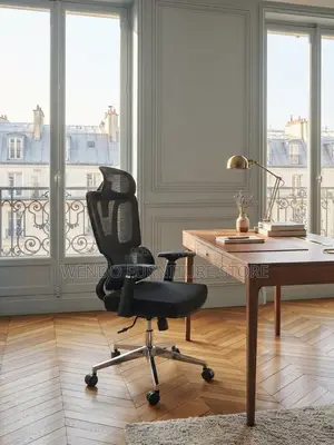 Office Chairs; Mesh Orthopedic Recliner Executive Ergonomic Chairs
