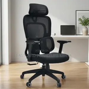 Executive Office Chair
