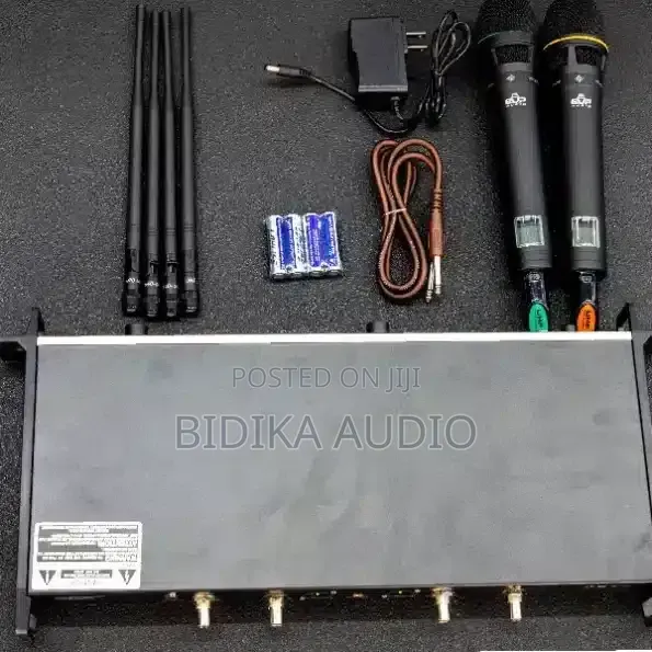 EVP Audio Ewg4 2 Professional Wireless Microphone
