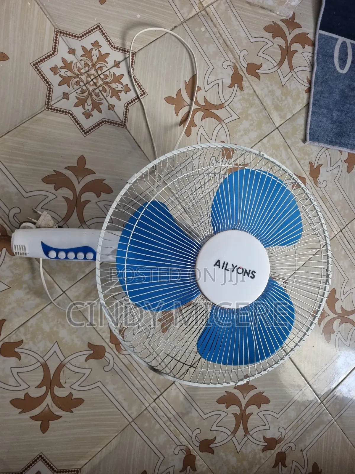 Standing/Wall Fan
