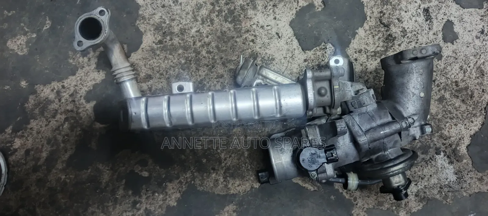 Egr Prado 1prado 150