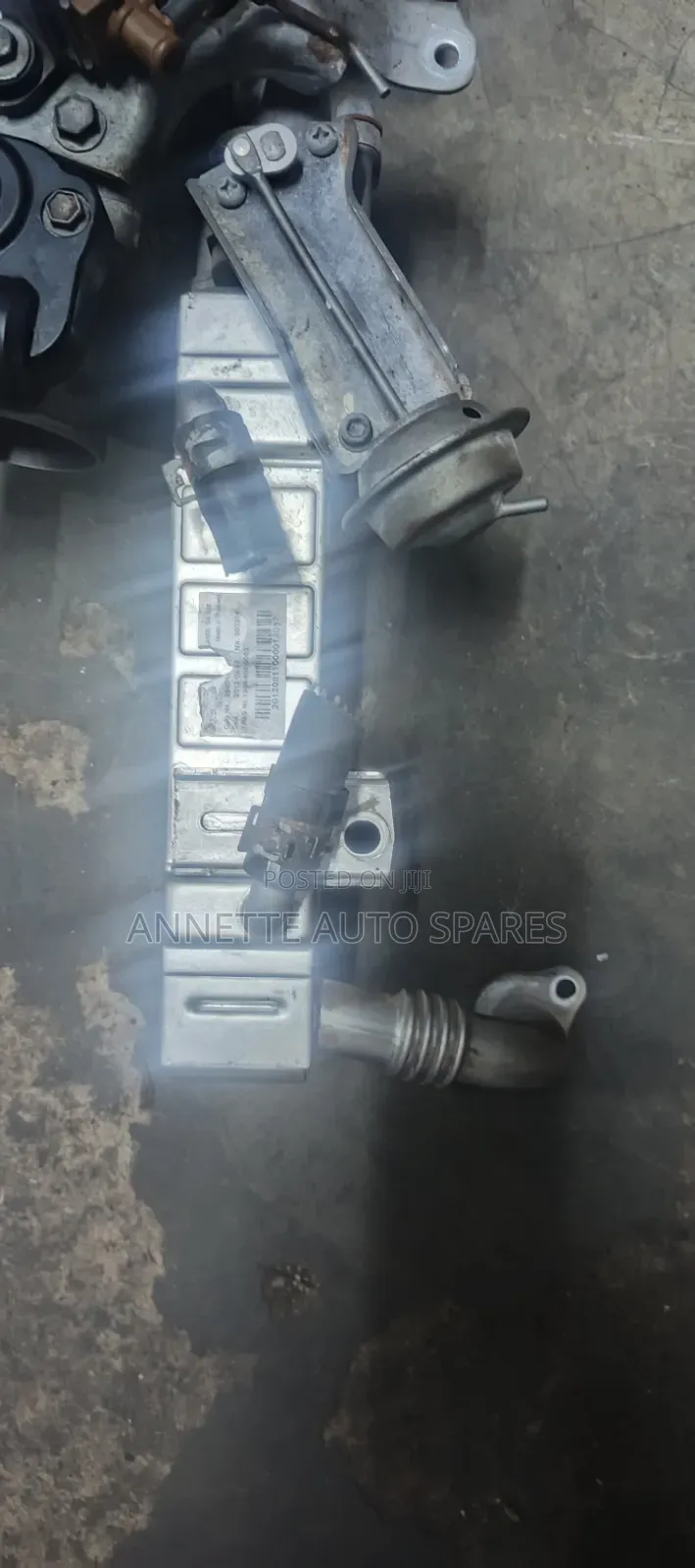 Egr Prado 1prado 150