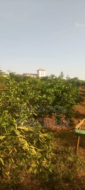 Thika 5 Acres Mixed Use Land