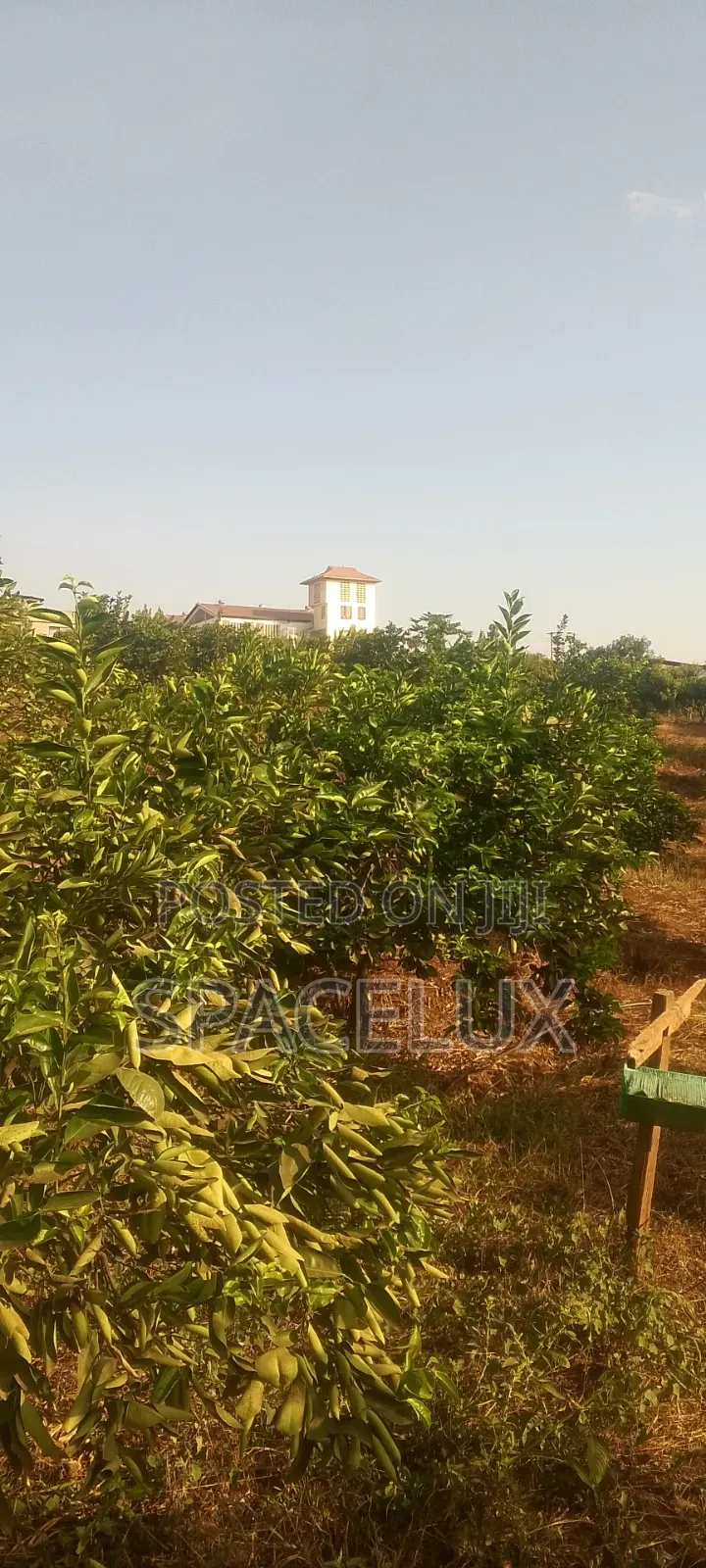 Thika 5 Acres Mixed Use Land