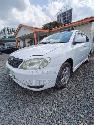 Toyota Corolla RunX 2003 White