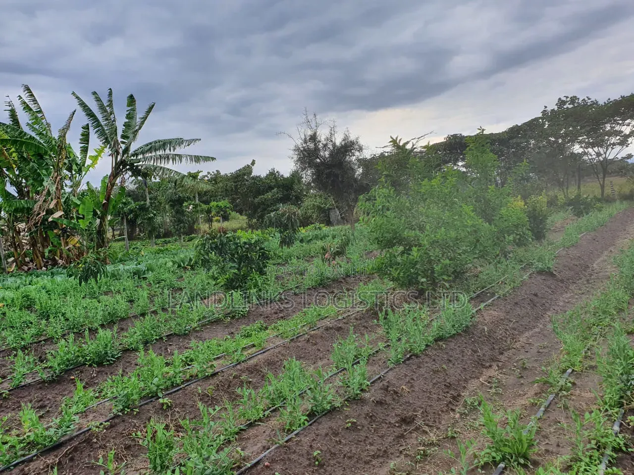 Kitengela Koropoi Area 5 Acres 10kms Off Namanga Rd