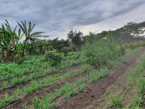 Kitengela Koropoi Area 5 Acres 10kms Off Namanga Rd