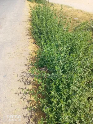 Kitengela Koropoi Area 5 Acres 10kms Off Namanga Rd