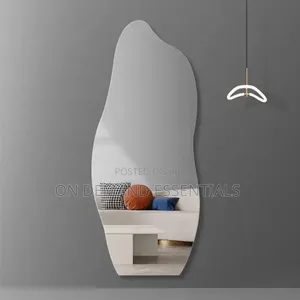 Flexible Dolphin Shape Acrylic Mirror
