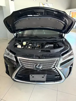 Lexus RX 2019 Black