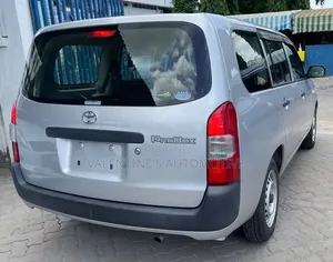 Toyota Probox 2019 Silver