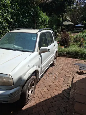Suzuki Escudo 2000 Gray
