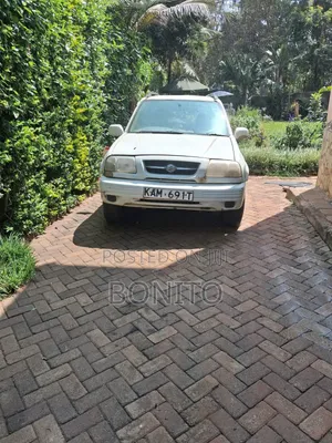 Suzuki Escudo 2000 Gray