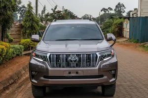 Toyota Land Cruiser Prado 2019 Gray
