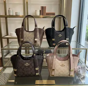 Coach Andrea Mini Carryall