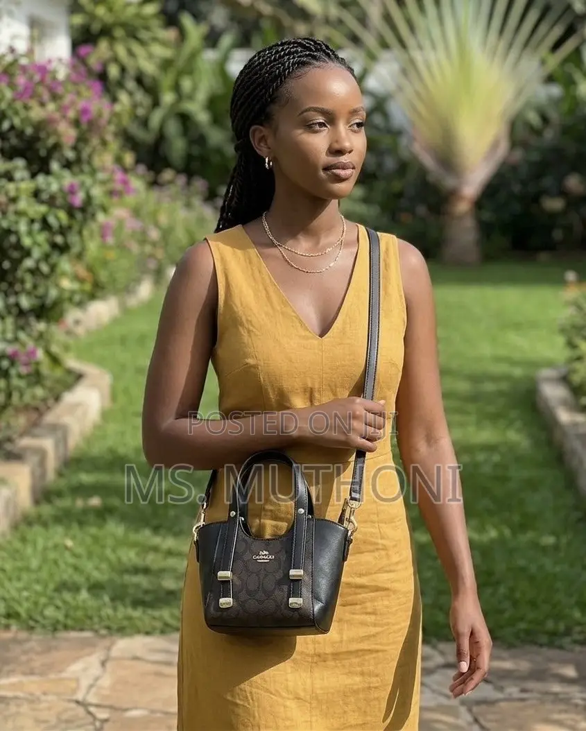Coach Andrea Mini Carryall