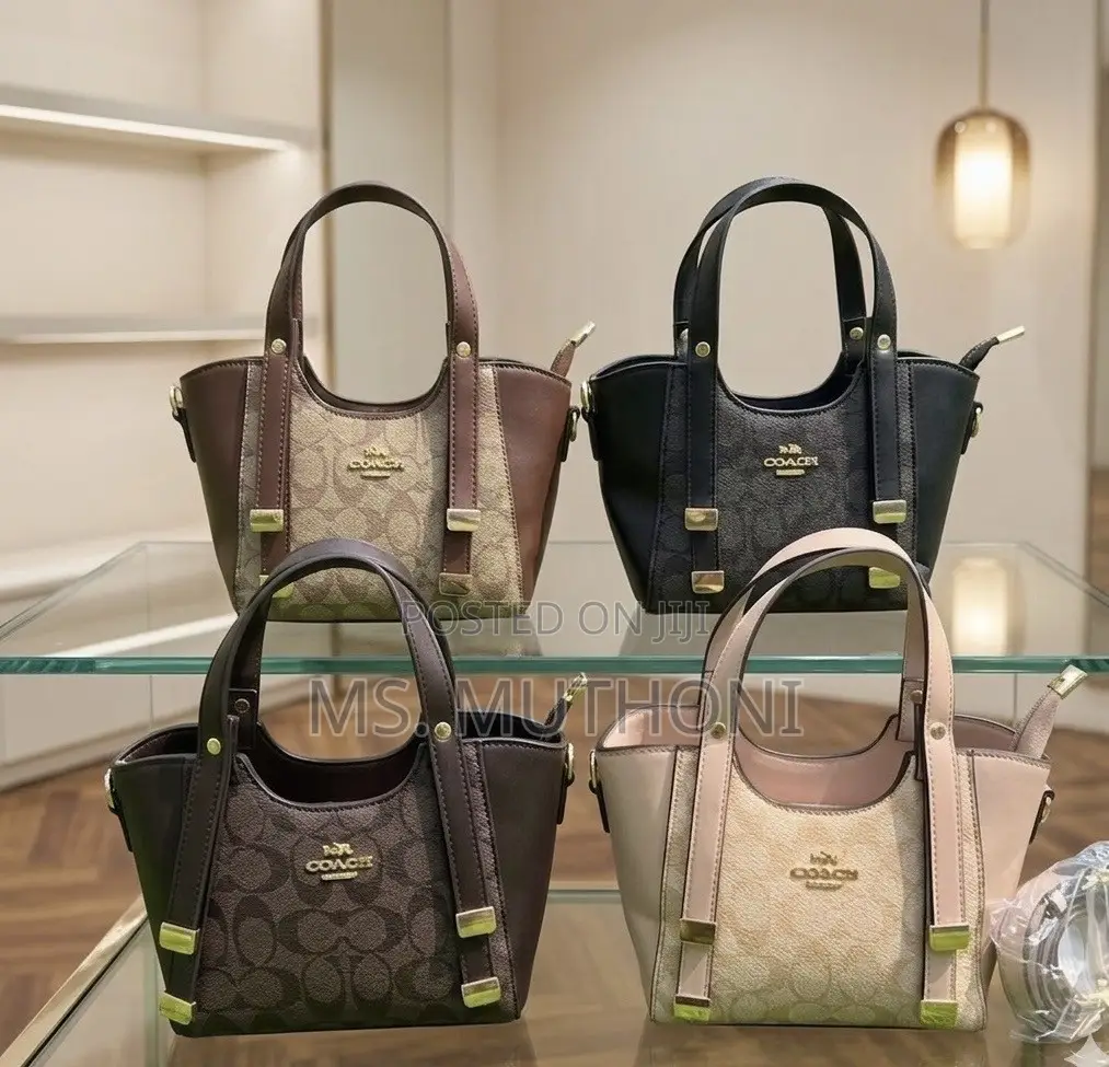 Coach Andrea Mini Carryall
