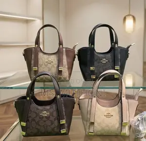 Coach Andrea Mini Carryall