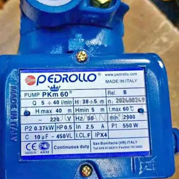 Pedrollo Good Quality Pump - main view