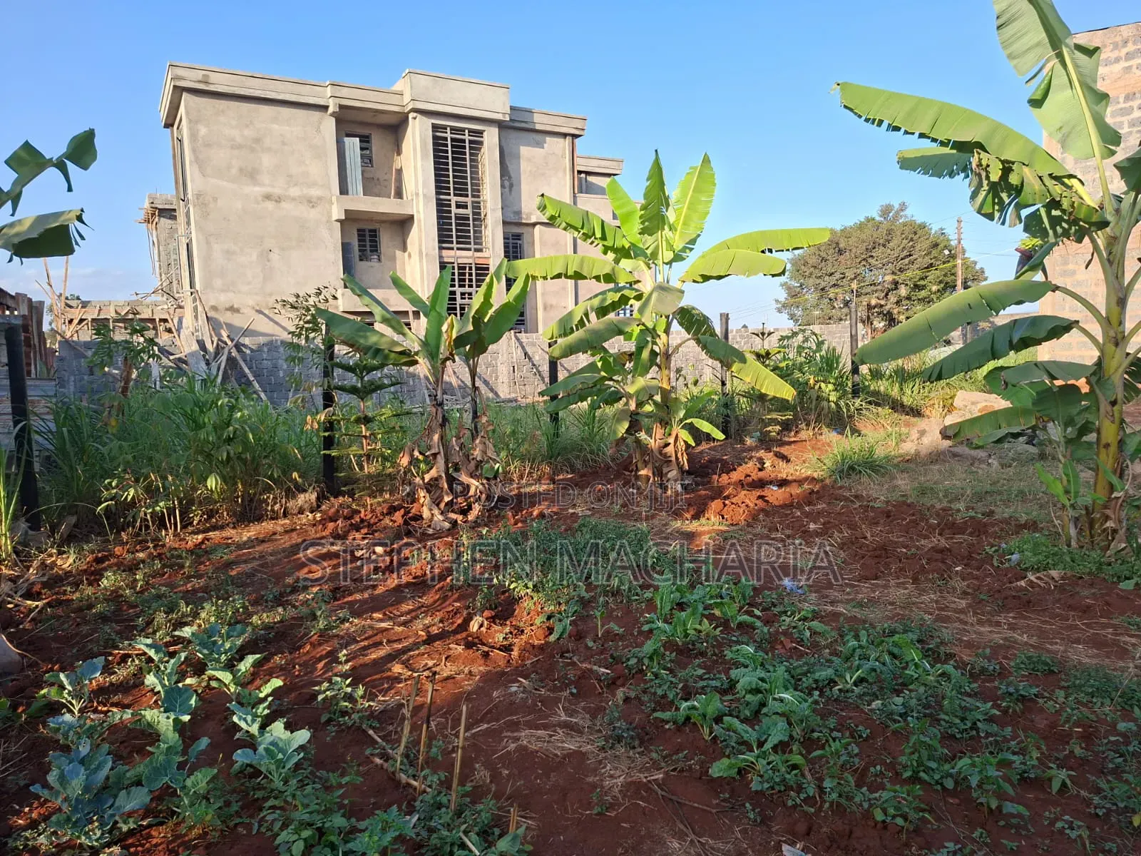 Mini Flat in Mugutha Daykio, Ruiru for sale