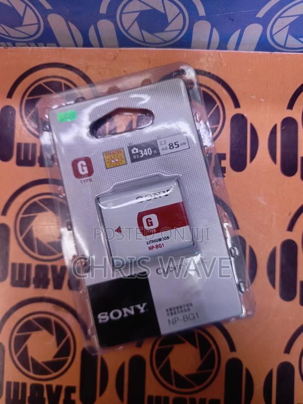 Original Sony G Battery - main view
