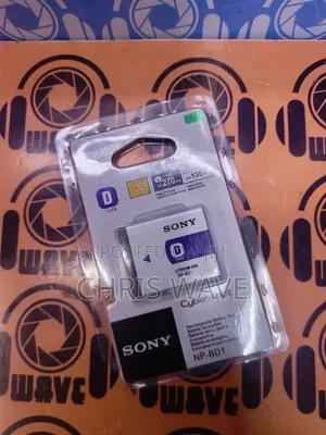 Original Sony D Digital Battery