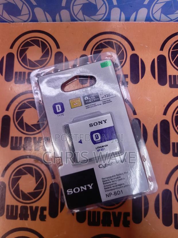 Original Sony D Digital Battery - main view