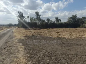 Prime 1/8 Acre Plot in Kitengela for Sale at Great Price