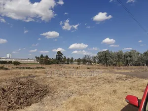 Prime 1/8 Acre Plot in Kitengela for Sale at Great Price
