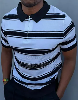 Polo Shirts With a Collar