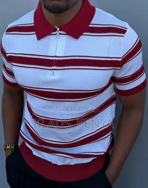 Polo Shirts With a Collar