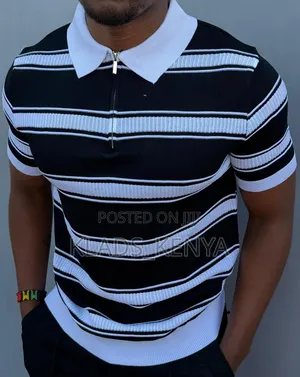 Polo Shirts With a Collar