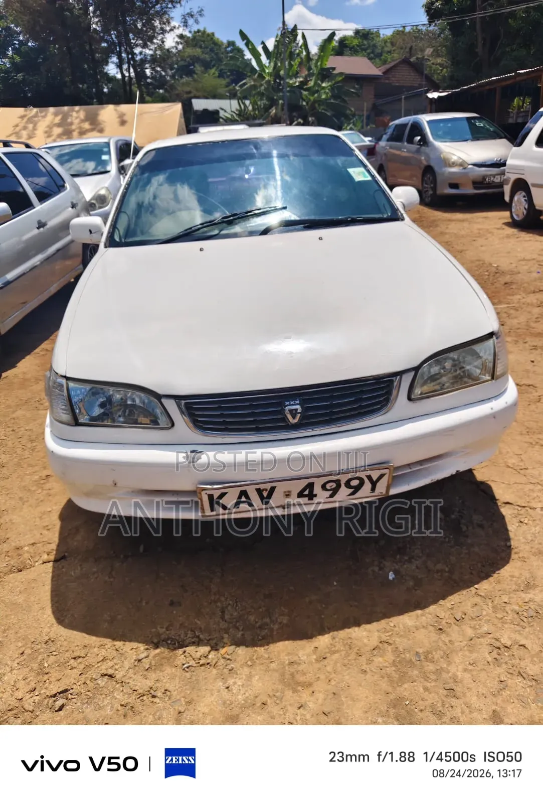 Toyota Corolla 2000 White