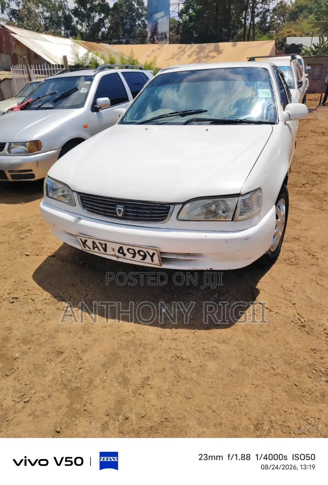 Toyota Corolla 2000 White
