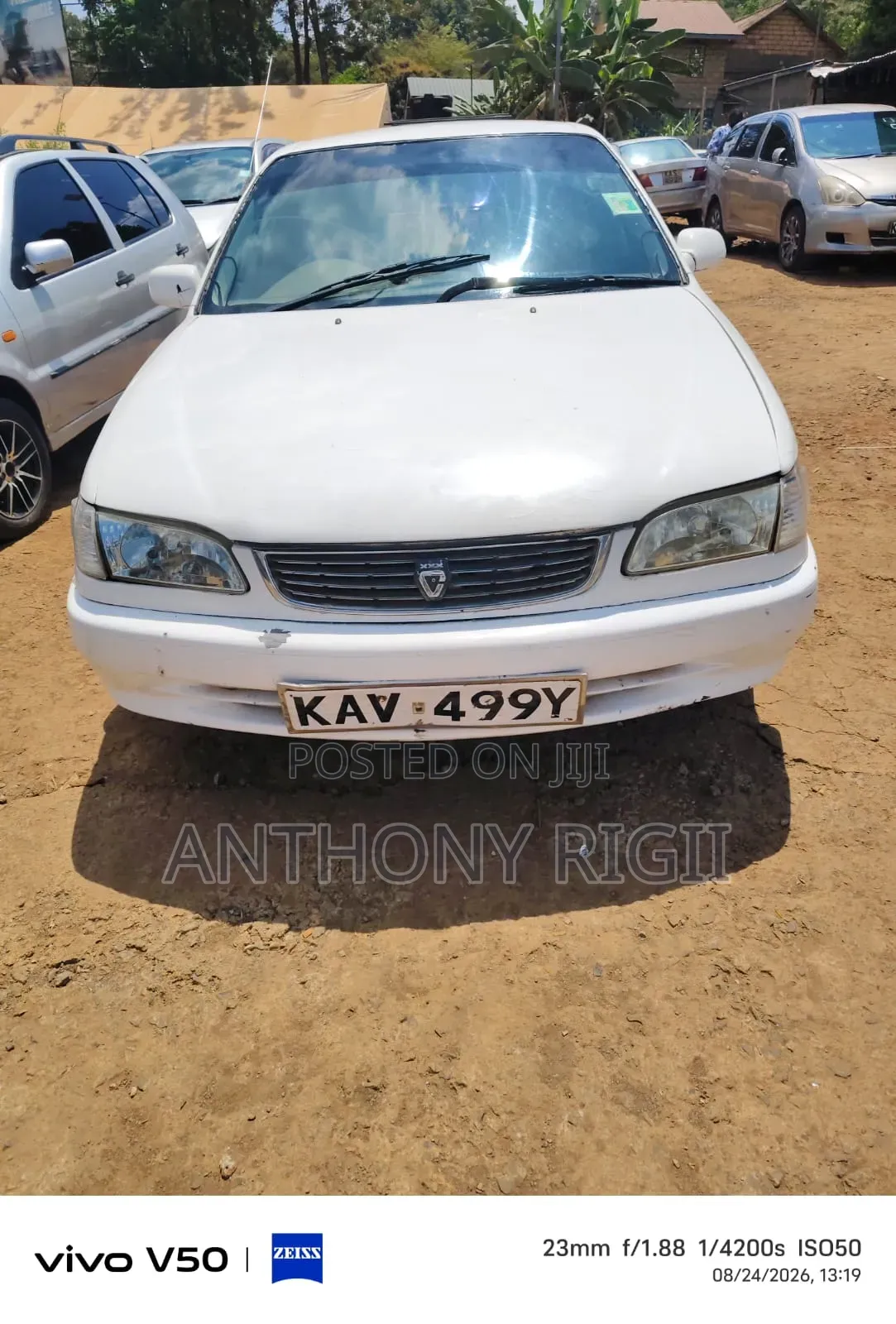 Toyota Corolla 2000 White