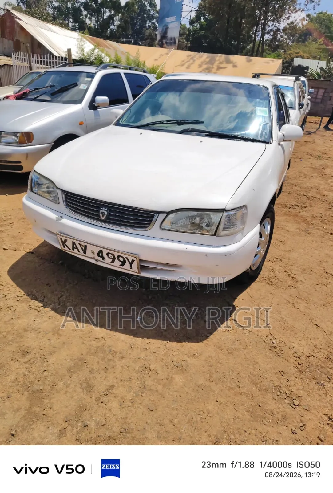 Toyota Corolla 2000 White