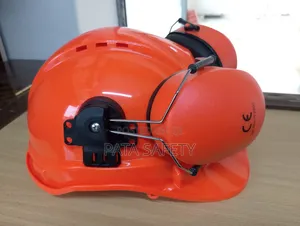 Industrial Helmets With Earmuffs
