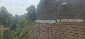 50×100 Plot for Sale – Kabete Rukubi