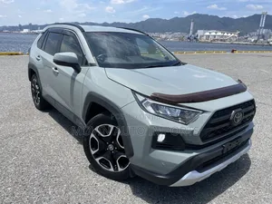Toyota RAV4 Adventure 2019 Gray