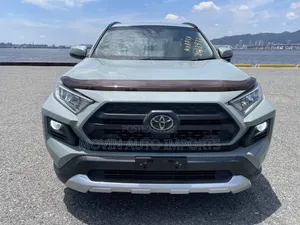 Toyota RAV4 Adventure 2019 Gray