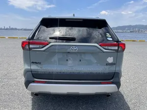 Toyota RAV4 Adventure 2019 Gray
