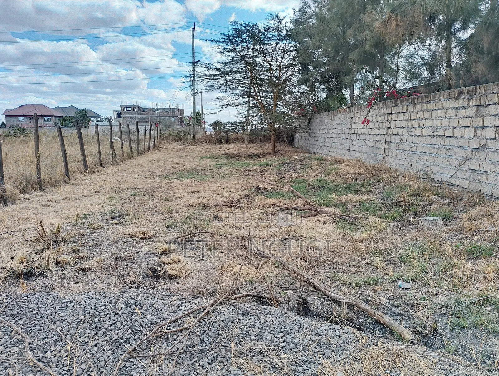 50 by 100 at Sabaki in a Gated Court