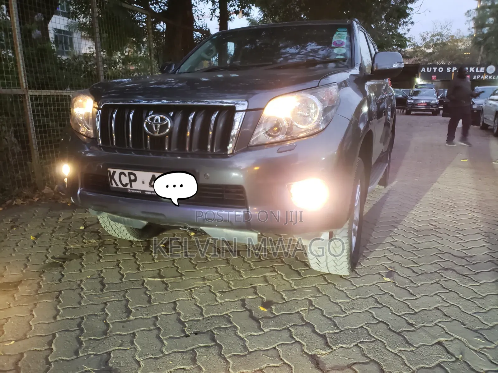 Toyota Land Cruiser 2010 Gray