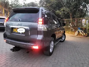 Toyota Land Cruiser 2010 Gray